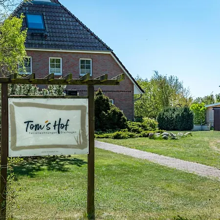 Tom's Hof Dascha Dierhagen